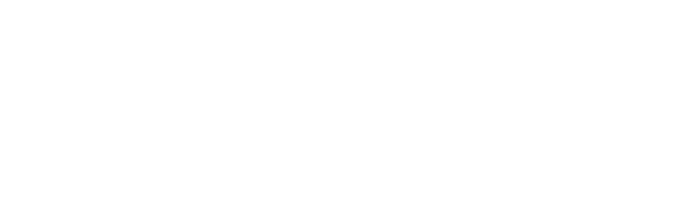 The Ivory Shell