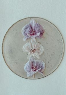 Decoration