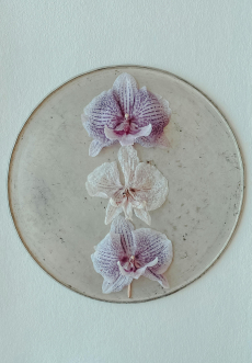 Decoration