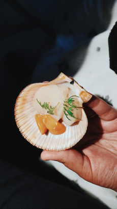 Shell