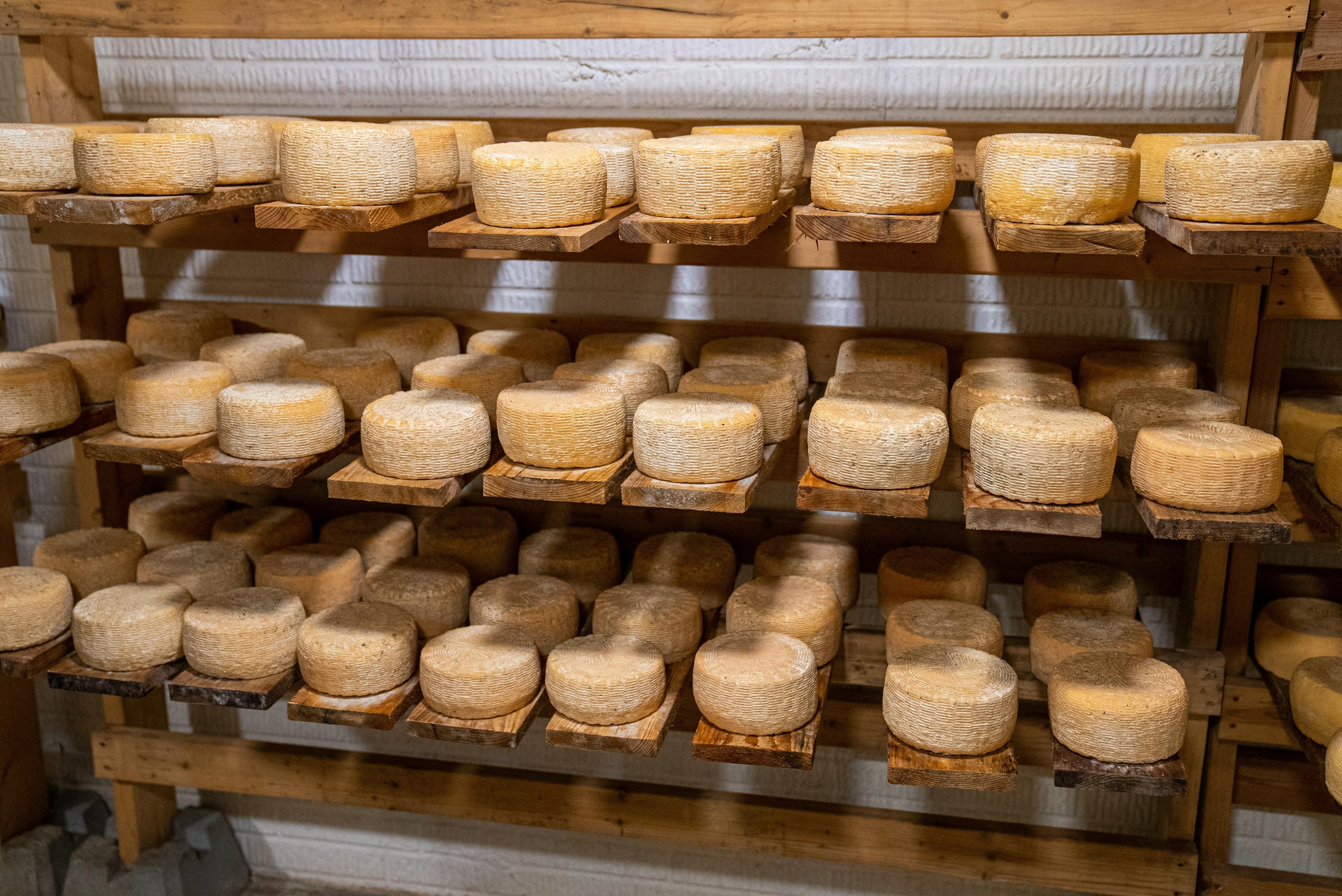 Cheese high quality
