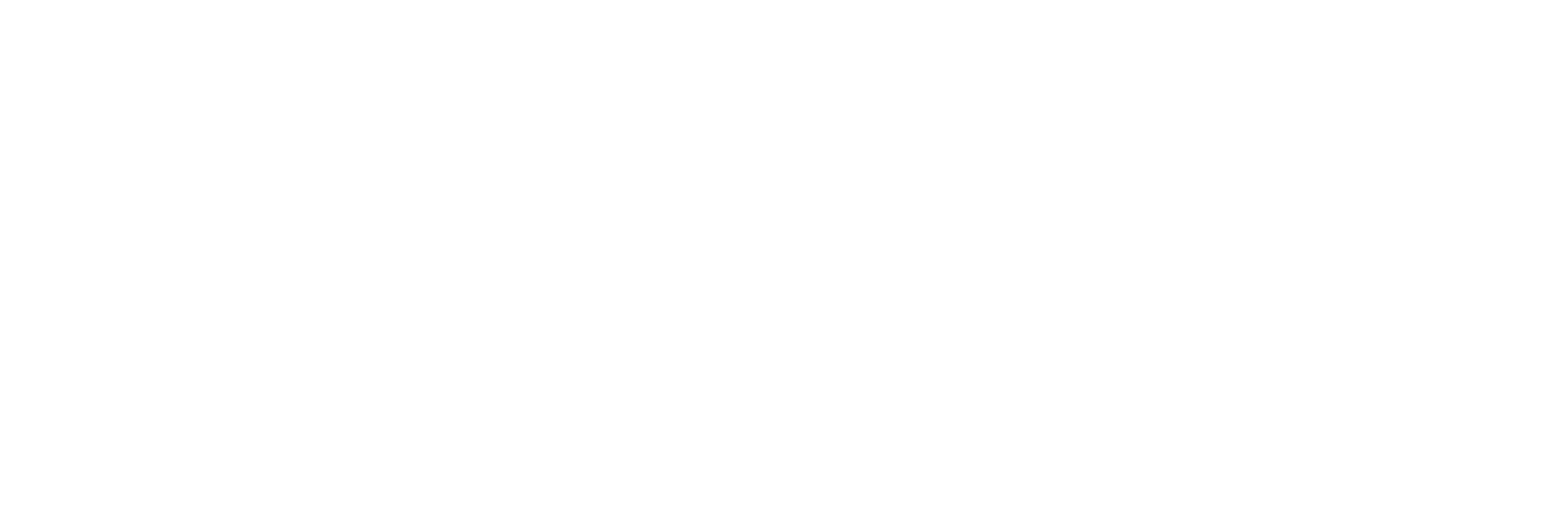 The Ivory Shell